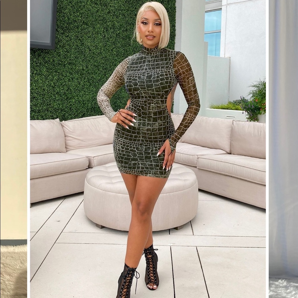 Mesh Snake Print Mini Dress